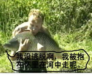 原始图片21.97KB,点击浏览