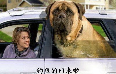 原始图片24.99KB,点击浏览