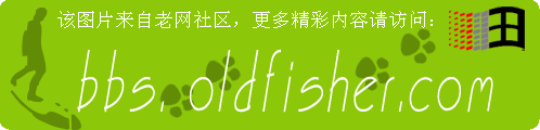 不能钓鱼逛逛老网商城也不错哦！